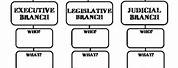 Three Branches Government Graphic Organizer