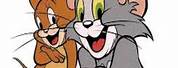 Tom and Jerry Cartoon Wallpaper 4K