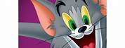 Tom and Jerry and Friends DVD 3