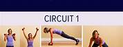 Total Body Circuit Workout