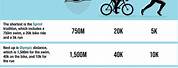 Triathlon Distances Chart and What Is the Sequence