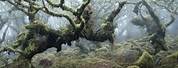 UK Forest Moss Sculpture