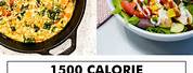 Vegan Meal Plan 1500 KCAL 100 Grams Protein