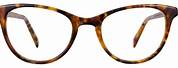 Warby Parker Tortoise Shell Eyeglasses