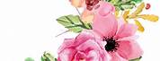 Watercolor Hot Pink Floral Clip Art