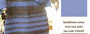 What Color Is This Dress Meme