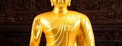 Where Is a Gold Buddha Statue