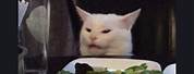 White Cat Meme Table News