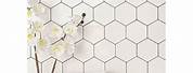 White Hexagon Tile with Black and Green Flowers Photo Images