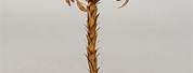 Wrought Iron Palm Tree Lamp