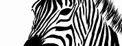Zebra Head Clip Art Black and White