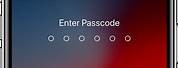 iPhone 11 Password Screen