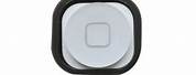 iPod White Home Button