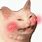 Blushing Cat Meme