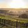 Hunter Valley Wine Region