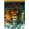 The Chronicles of Narnia the Lion the Witch and the Wardrobe DVD