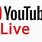 YouTube Live Broadcast