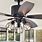 Ceiling Fan Black Lights