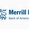 Merrill Bank of America