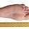 12-Inch Foot