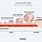 2 mm Colon Polyp Size Chart