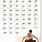 21-Day Wall Pilates Chart