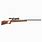 22 Cal Air Rifle