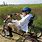 3 Wheel Bicycles for Seniors