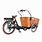 3 Wheel Electric Cargo Bike
