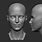 3D Head Sculpt Art Ref