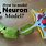 3D Model of Neuron