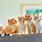 5 Cute Kittens