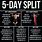 5 Day Workout Plan for Men