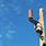 5G Antennas On Utility Poles
