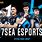 7 Sea eSports