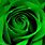 A Green Rose Art