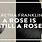 A Rose Is Still a Rose