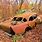 Abandoned Wrecked Cars