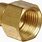 Adapter Brass Pipe Size 1 2