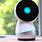Ai Personal Assistant Robot