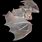 Albino Vampire Bat