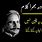 Allama Iqbal Sad Poetry