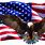 American Flag and Eagle Designs