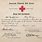 American Red Cross Certificate