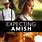 Amish Romantic Movies