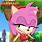 Amy Rose Dress Up Game
