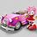 Amy Rose Racing