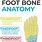 Anatomy of Foot Pain