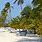 Andros Island Bahamas Beaches