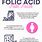 Anencephaly Folic Acid